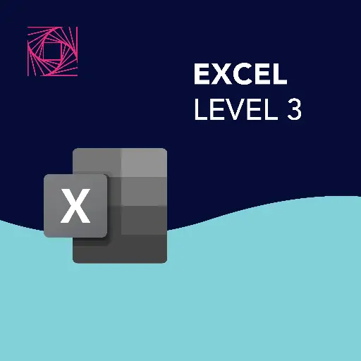 Excel Level 3
